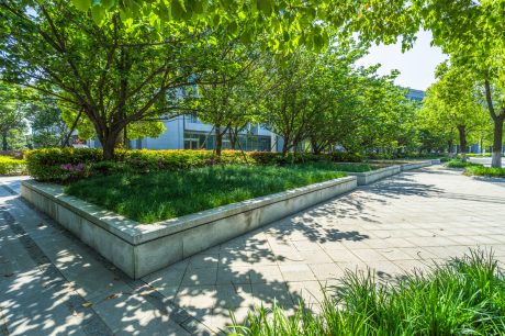 Landscape Architecture