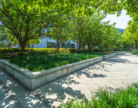An outdoor commercial landscape designed by Austin Engineering's landscape architecture services
