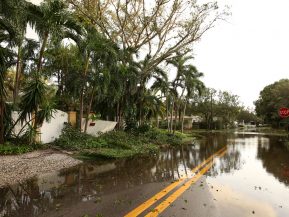 Better Prepare with a Flood Survey & Elevation Certificate