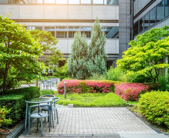 The Best Landscape Architects Near Me I Austin Engineering