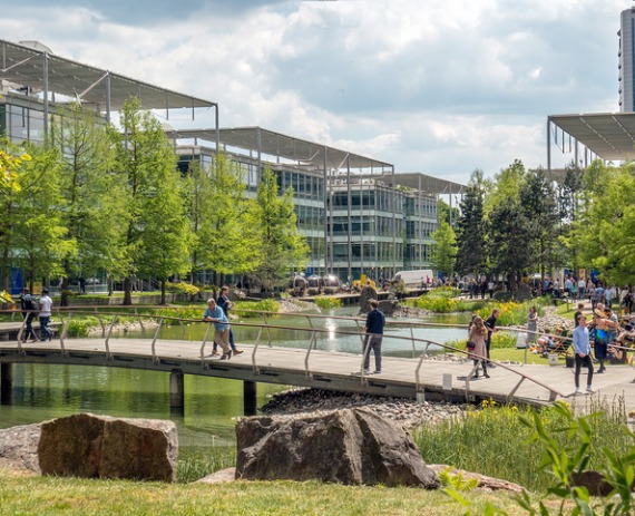 The Best Landscape Architects Springfield IL I Austin