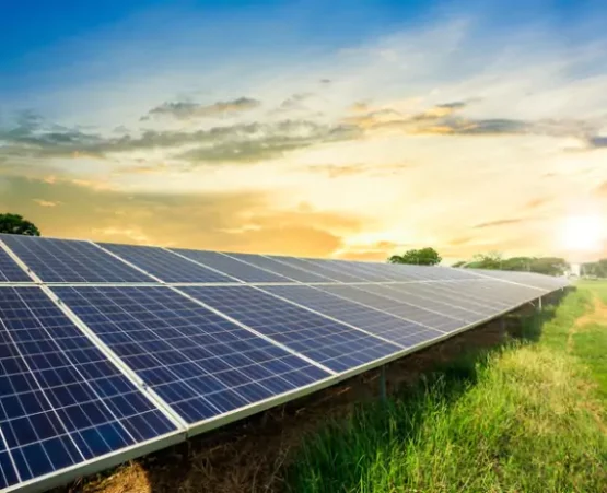 Solar Farm Surveys Springfield IL